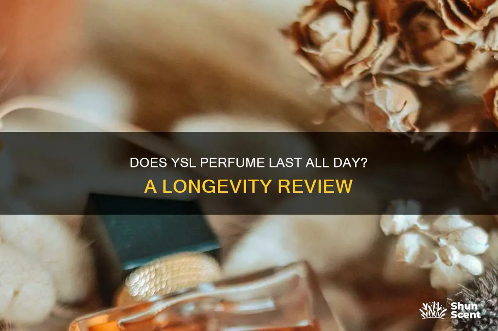 is ysl perfume long lasting