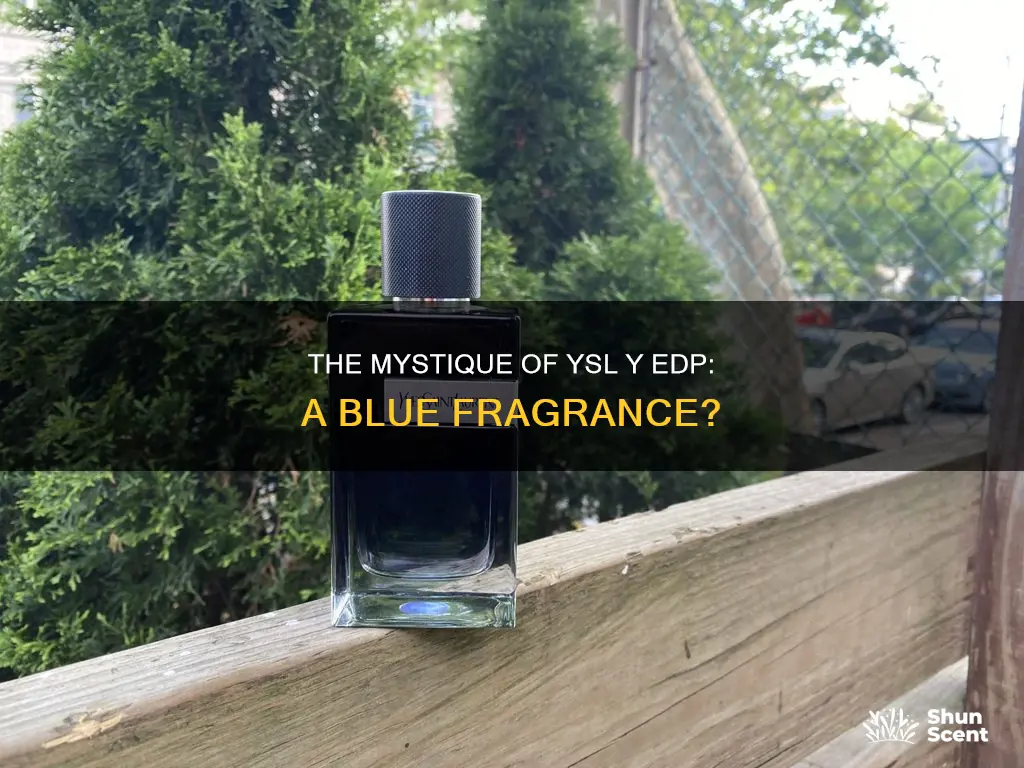 is ysl y edp a blue fragrance