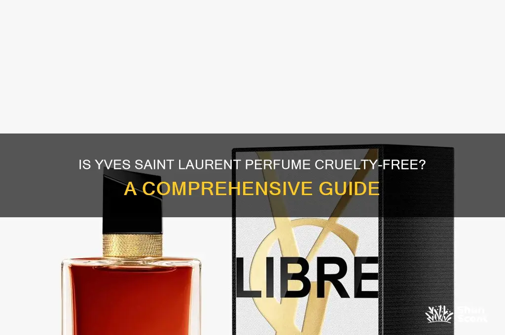 is yves saint laurent perfume cruelty free