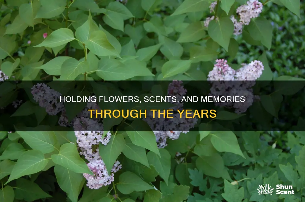 may you hold flowers and fragrance the years