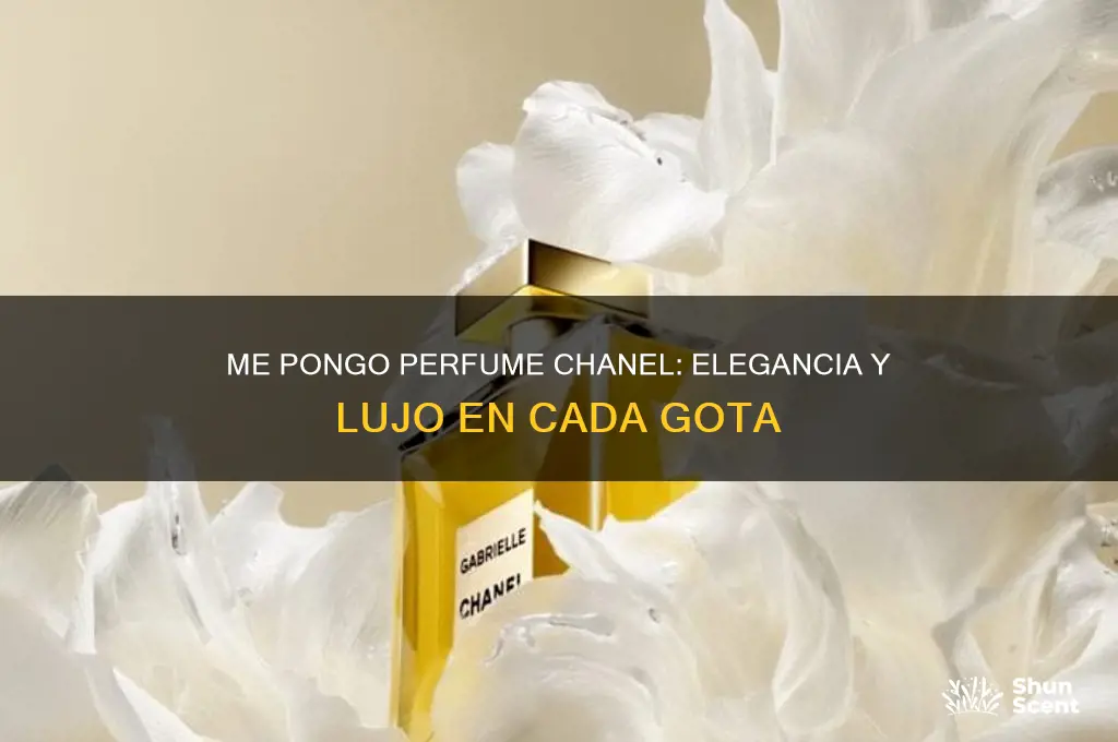 me pongo perfume chanel