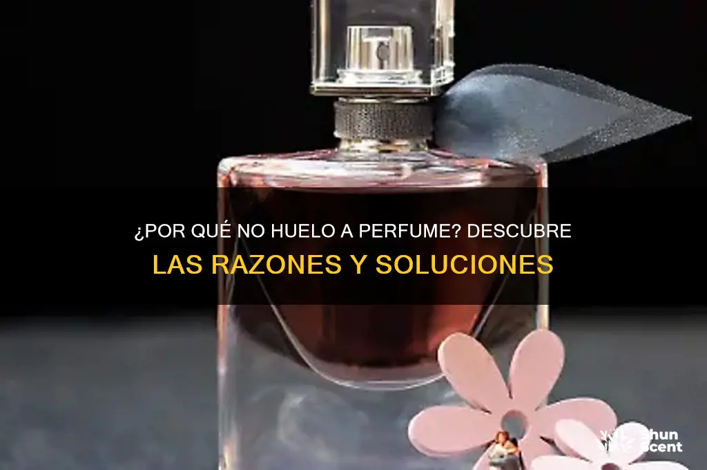me pongo perfume y no huelo