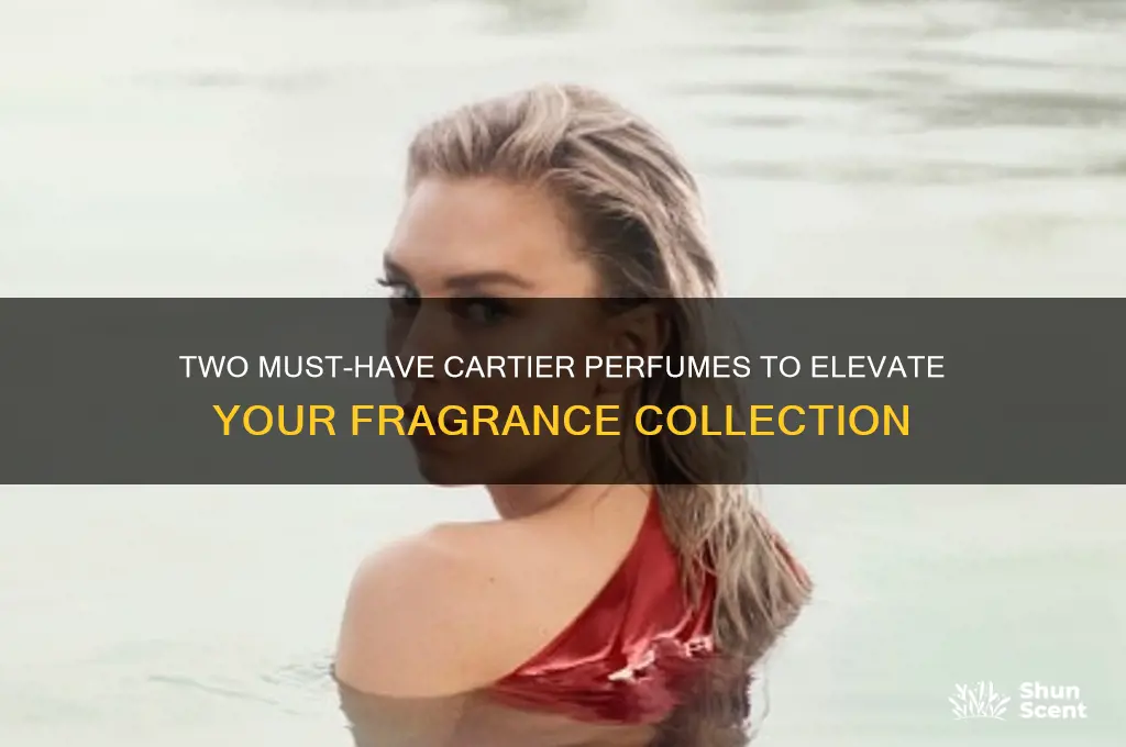 must 2 cartier perfume