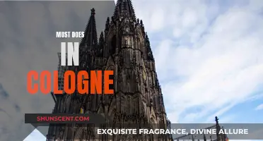 Cologne's Ultimate Bucket List Experiences