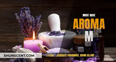 Aromatic Must-Haves for a Sensory Experience