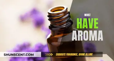 Aromas You Must Experience in Your Lifetime