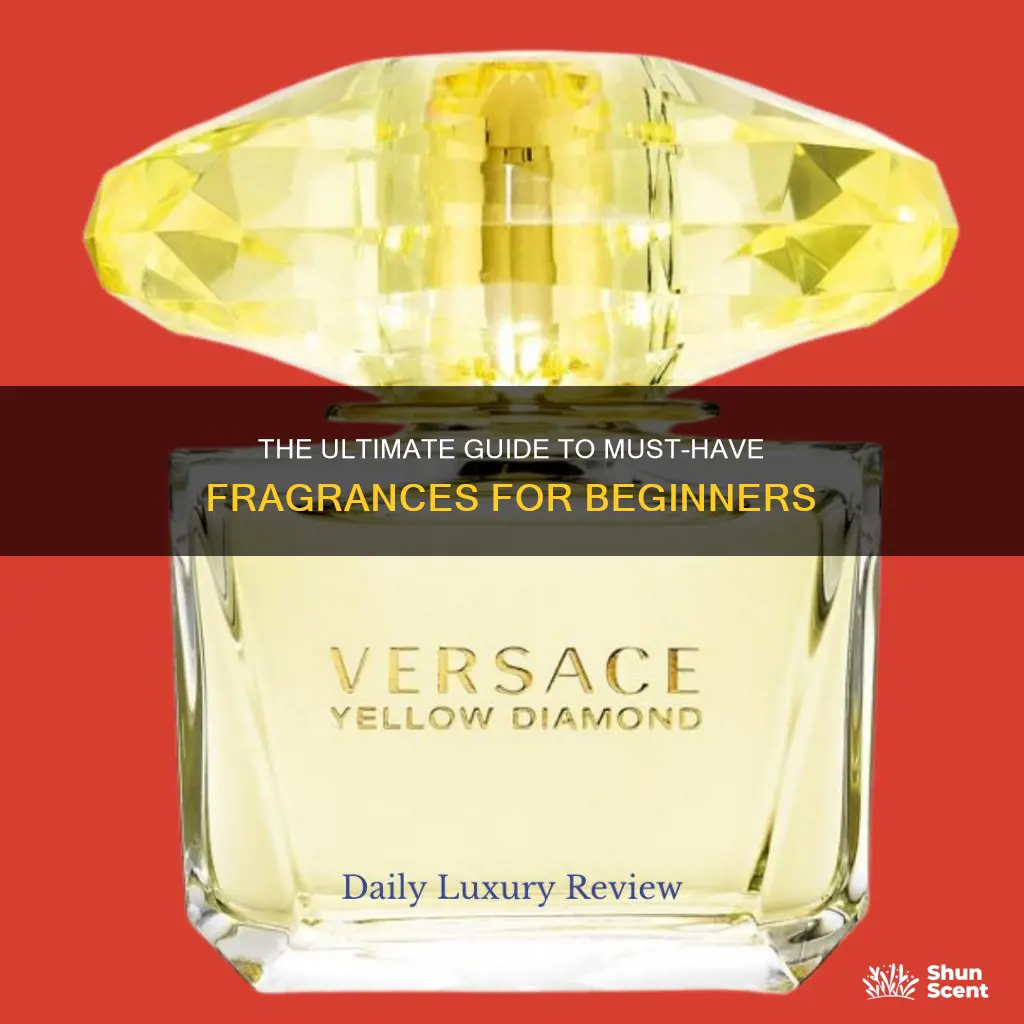 must have fragrances for beginners