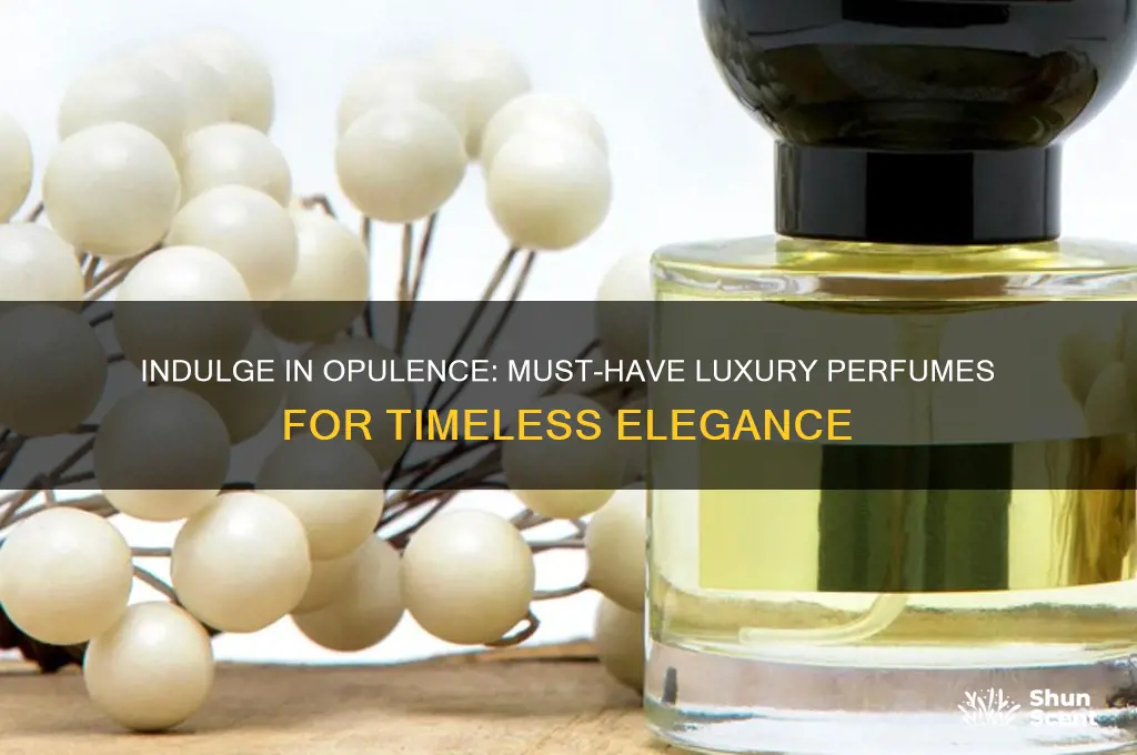 must have luxury perfumes