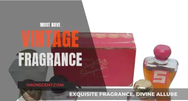 Vintage Scents: Timeless Fragrances You Need in Your Collection