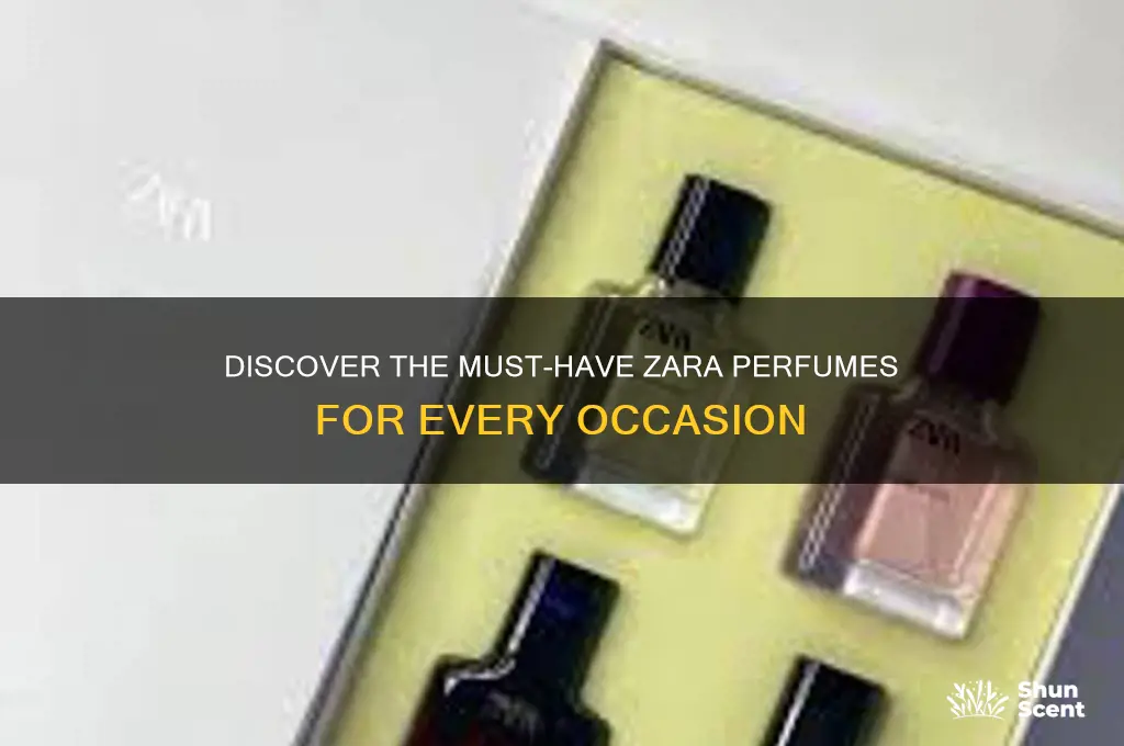 must have zara perfume
