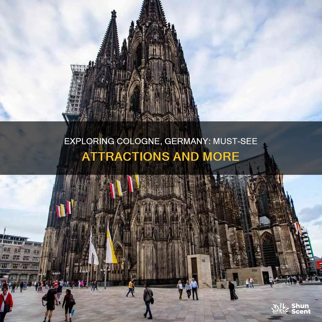 must sees in cologne germany