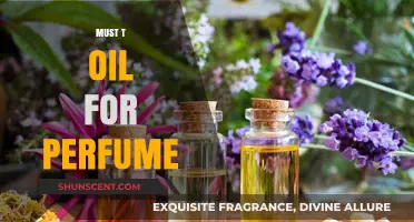 Essential Oils for Perfume: Must-Try Scents to Elevate Your Fragrance