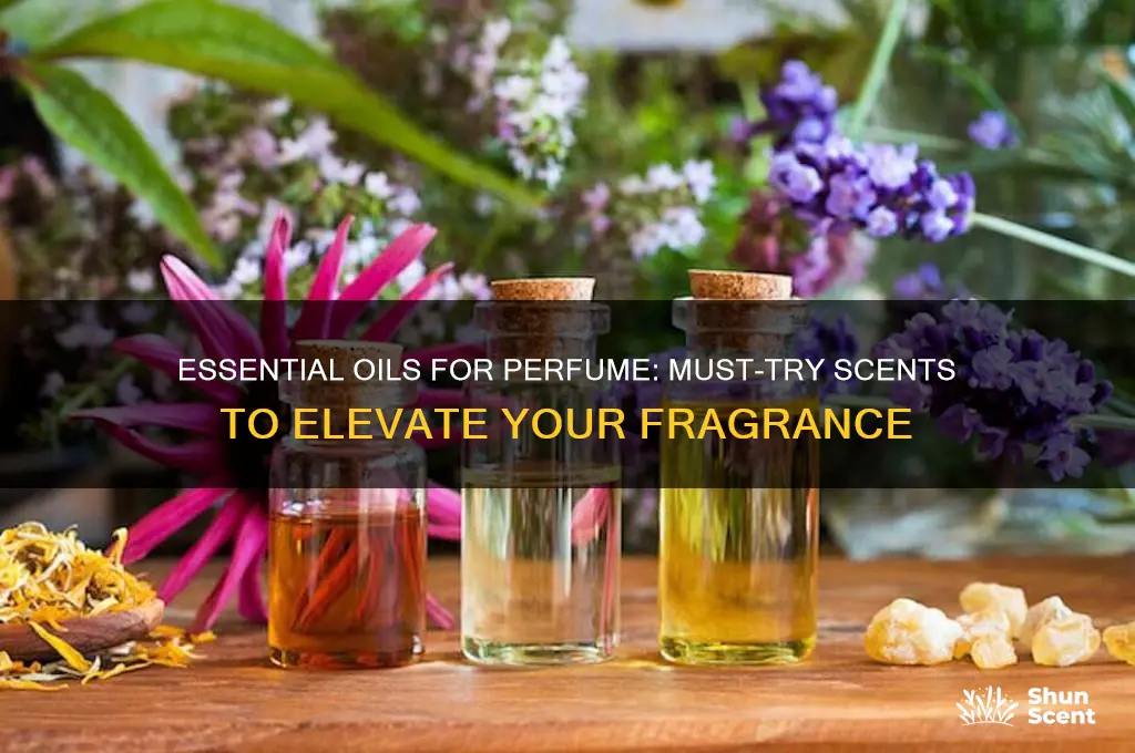 must t oil for perfume