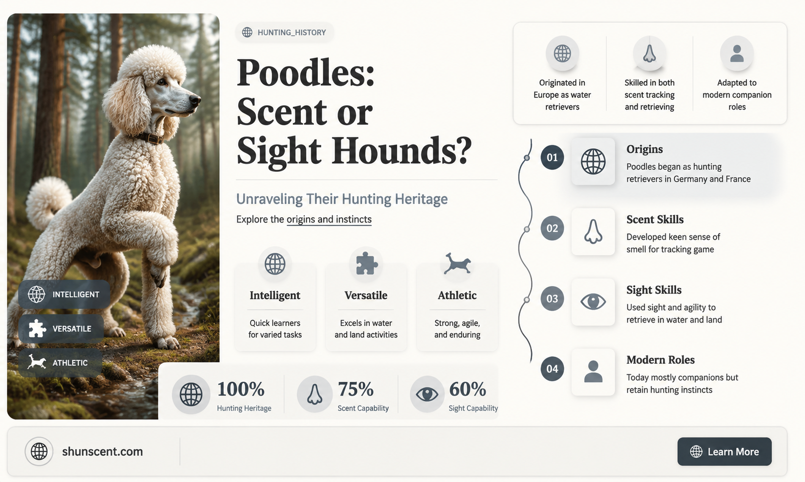 are poodles scent or sight hounds