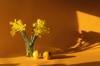 scent