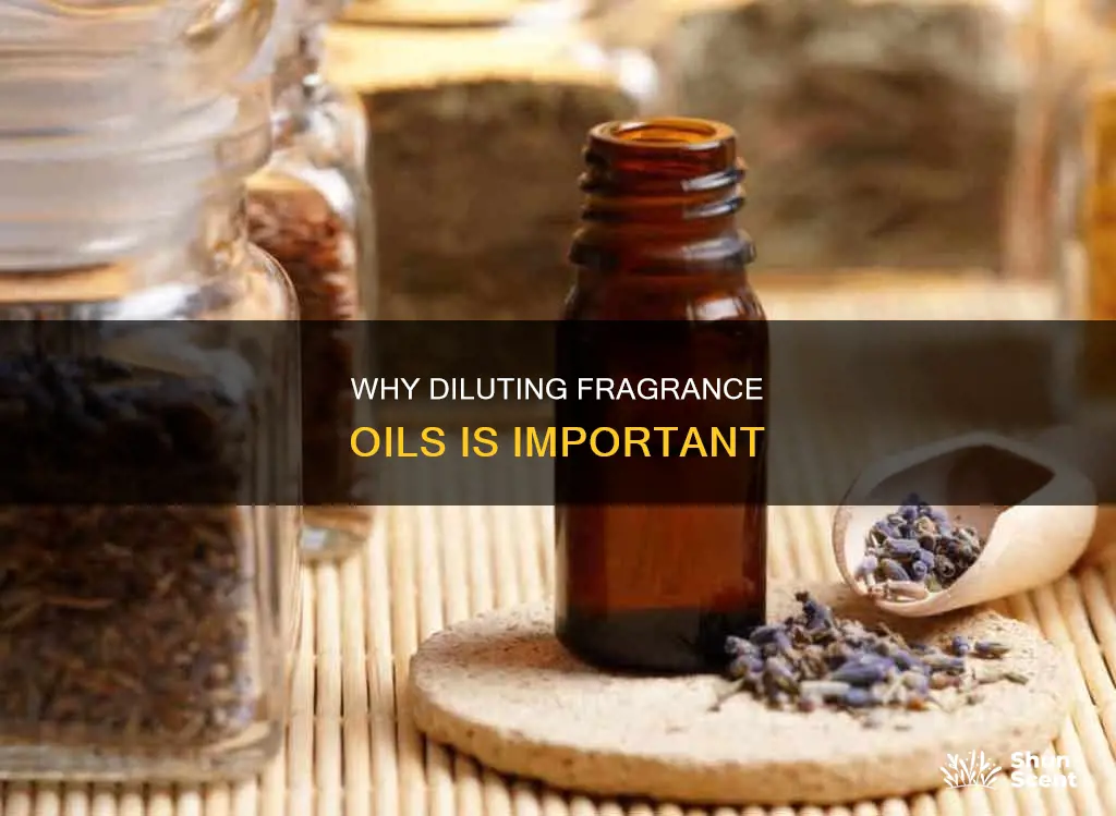 should fragrance oils be diluted