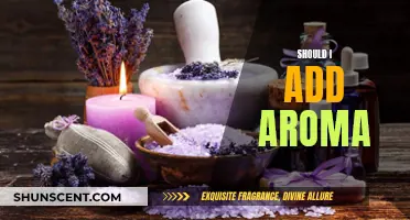 Aromatic Allure: Enhancing Your Space with Fragrance