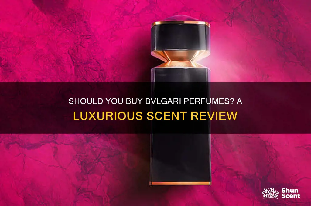 should i but bvlgari perfumes