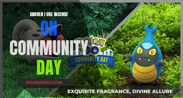 Incense Use on Community Day: Pros and Cons