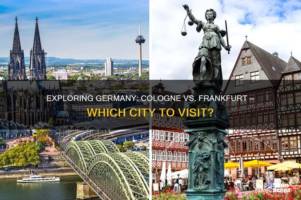 should i visit cologne or frankfurt