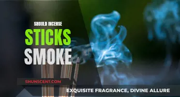 Incense Sticks: Are They Safe to Burn?