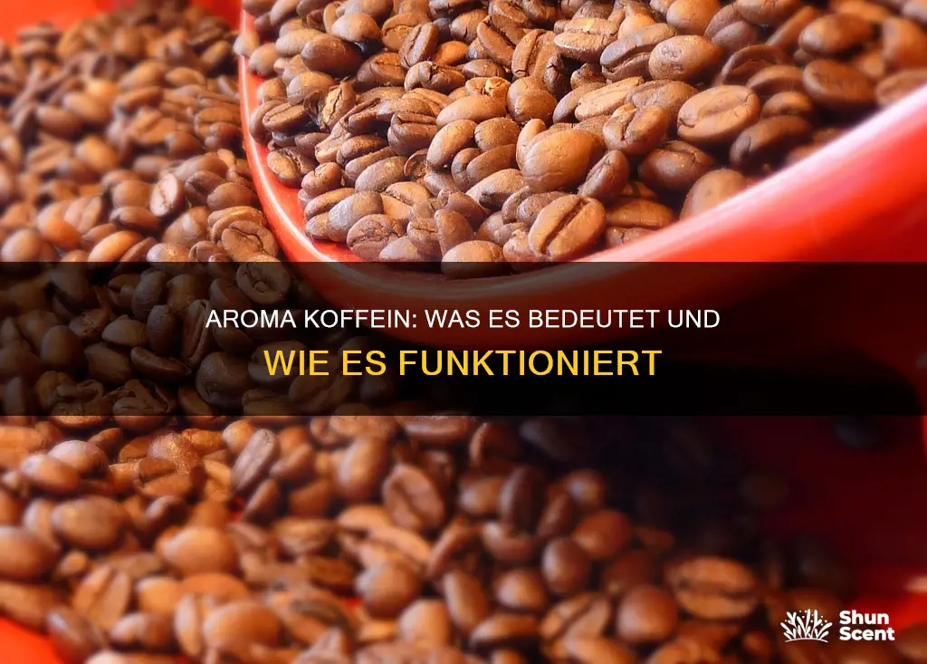 was bedeutet aroma koffein