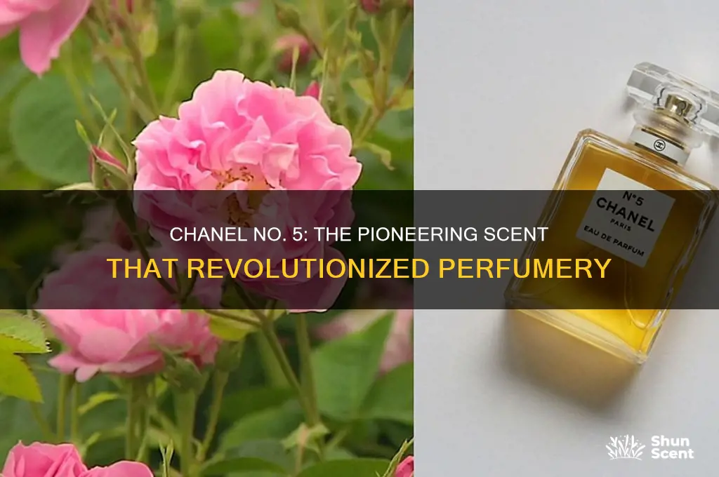 was chanel no 5 the first perfume