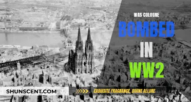 Cologne's Devastating WWII Bombing: A Survivor's Tale