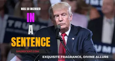 Incensed Sentence: Exploring Anger and Its Expression