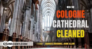 Cologne Cathedral's Cleaning Project: Before and After