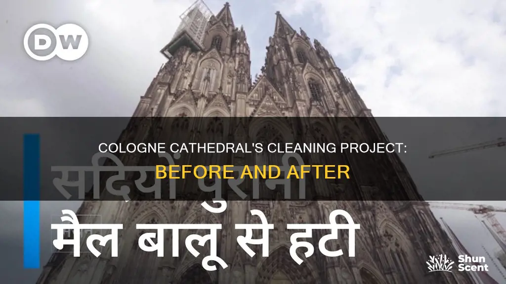 was the cologne cathedral cleaned