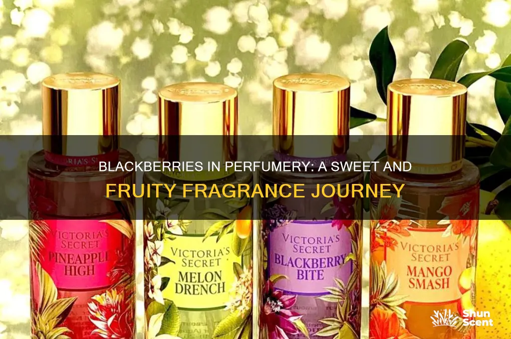 were blackberries used in perfume