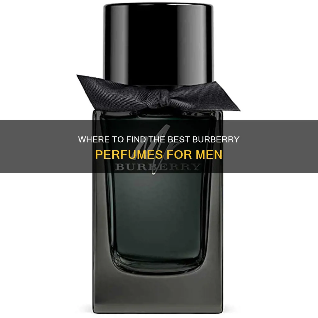were can ifind burberry perfume for mens