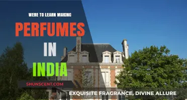 Discover the Art of Perfumery: Top Places to Learn in India