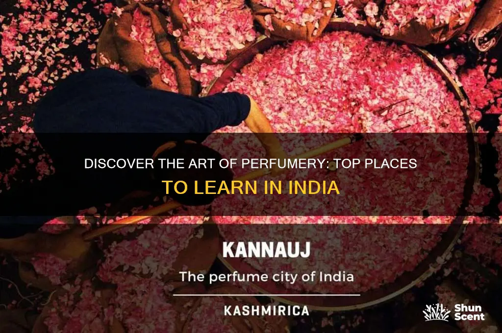 were to learn making perfumes in india