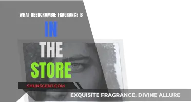 Abercrombie's Signature Scents: In-Store Fragrances Explored