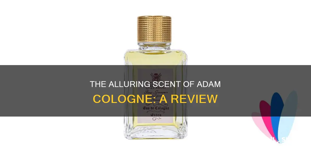 what about adam cologne