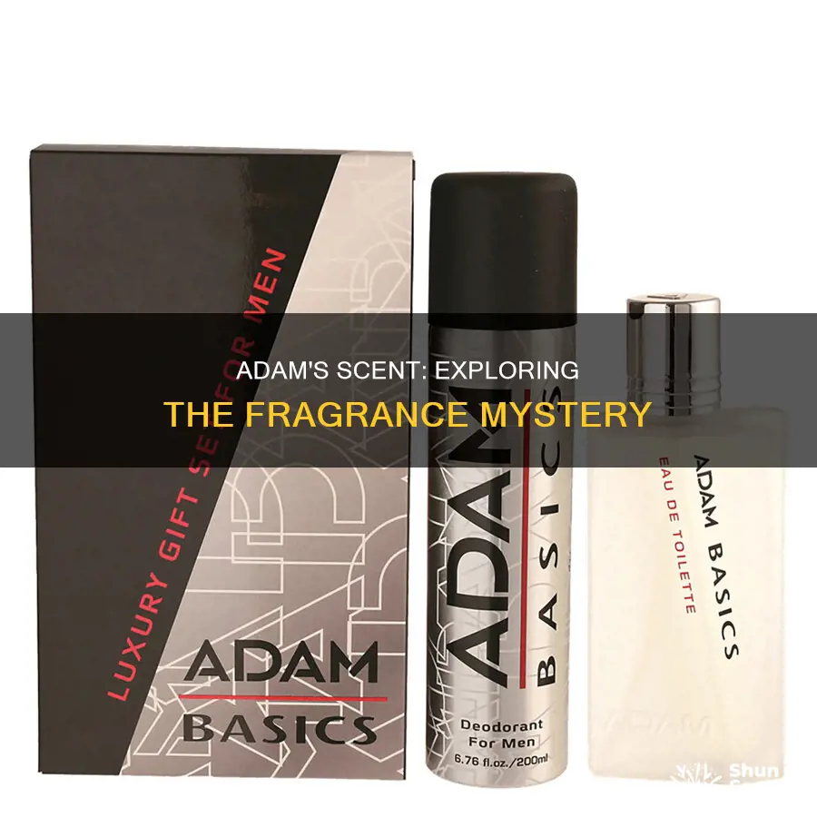 what about adam fragrance