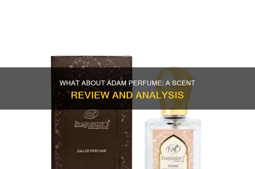what about adam perfume