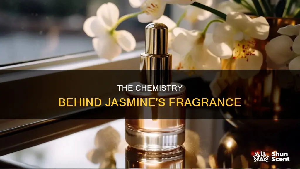 what account for fragrance of jasmine