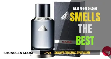 Adidas Scents: The Best Cologne Fragrances for Men