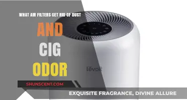 Breathe Easy: Top Air Filters to Eliminate Dust and Cigarette Odor