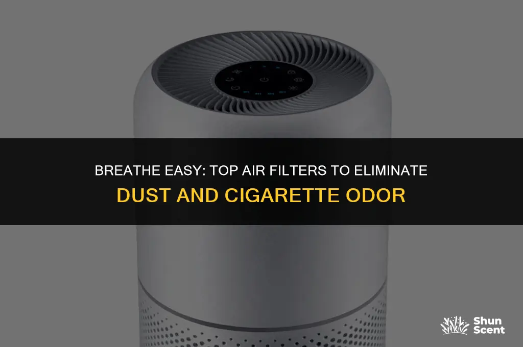 what air filters get rid of dust and cig odor