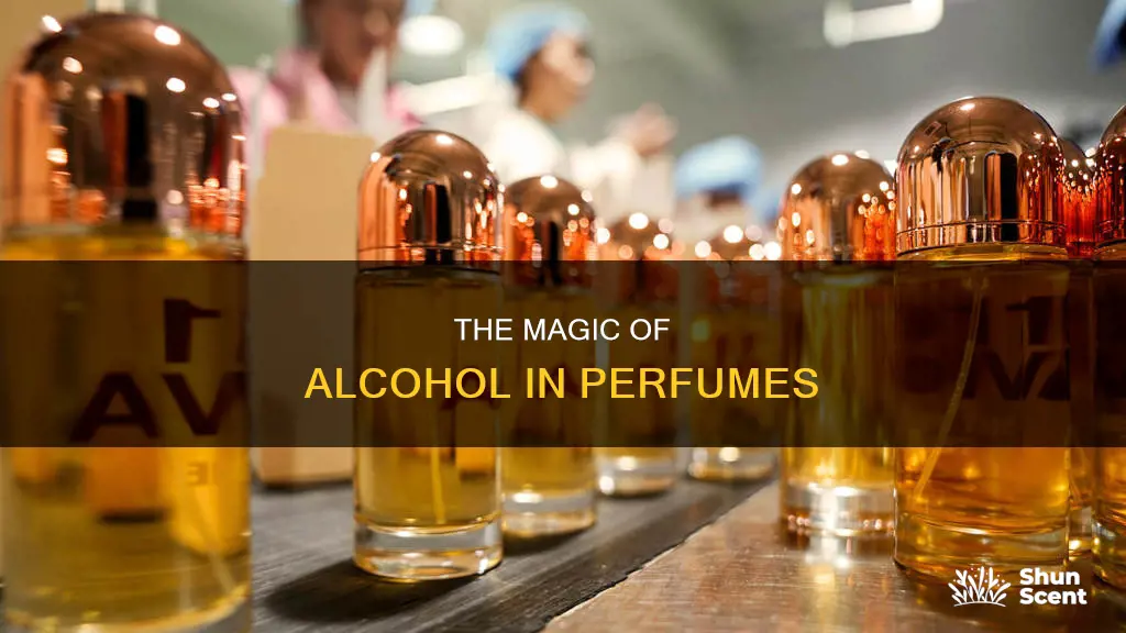 what alcohol is used in perfume