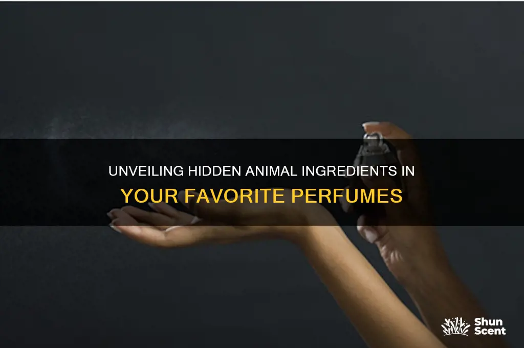 what animal ingredients are in perfume