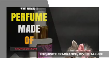 Unveiling the Surprising Animal Ingredients in Your Favorite Perfumes