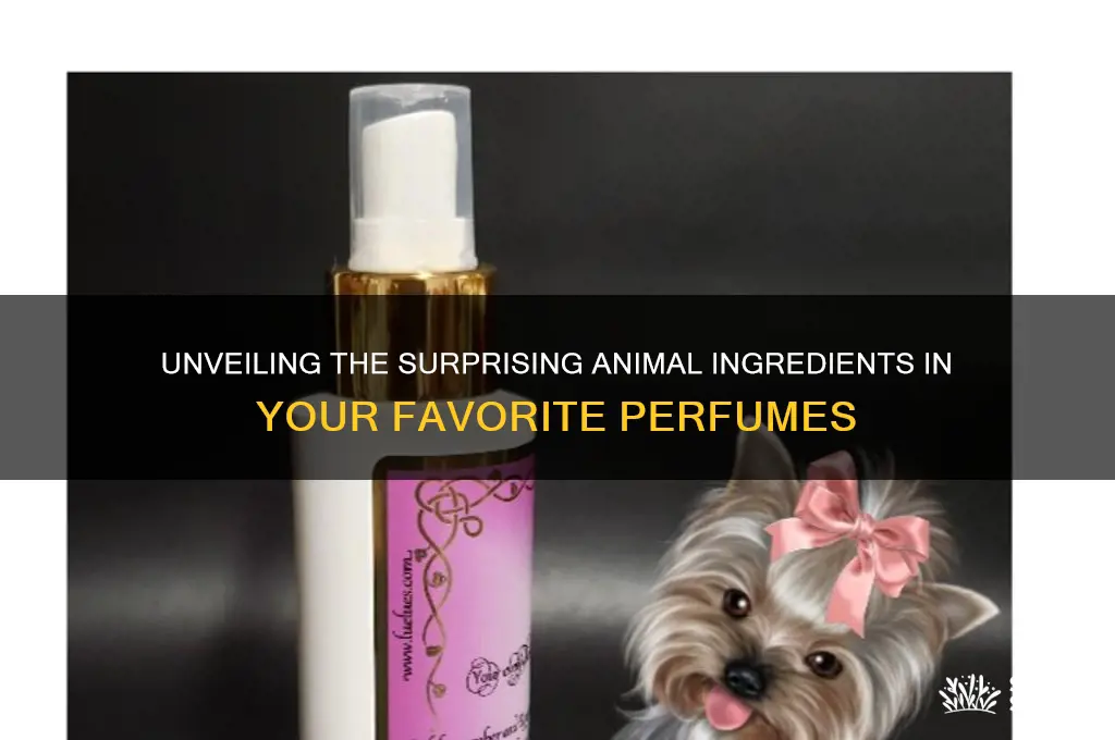 what animal is perfume made of