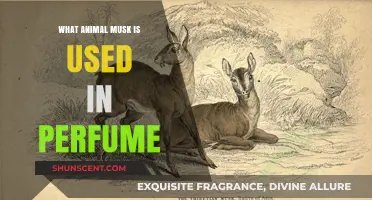Animal Musk in Perfumes: Unveiling the Scent's Secret Sources