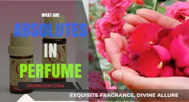 Understanding Absolutes in Perfumery: Essence, Extraction, and Aromatic Impact