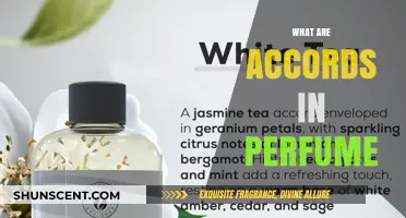 Understanding Accords: The Art of Blending Notes in Perfumery
